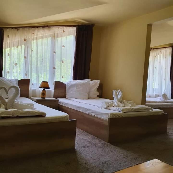 Pensiunea Mirela Pestera Ursilor Chiscau Экстерьер фото